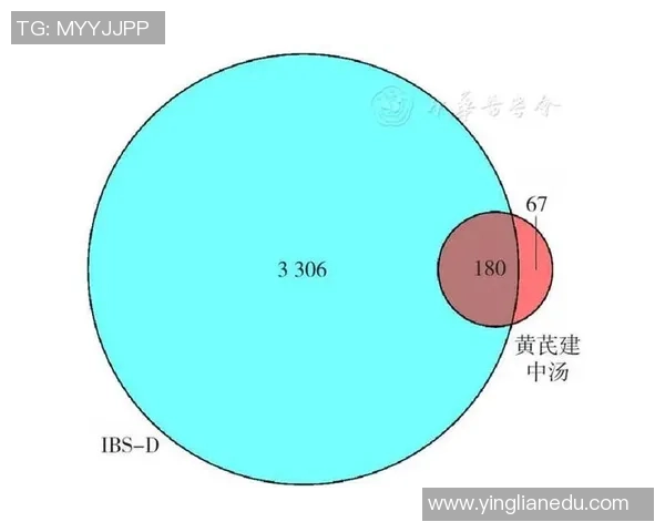 赛后分析：深圳排球队与武汉排球队的团队协作与战术对比探讨
