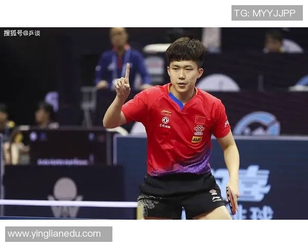 深入分析成都羽毛球队的防守反击战术及其战术优势